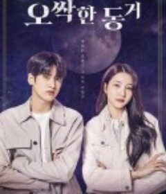 毛骨悚然的同居 오싹한 동거            (2022)