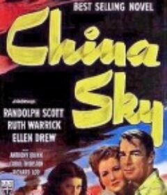 中国的天空 China Sky            (1945)