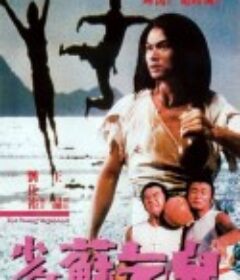 少年苏乞儿 少年蘇乞兒            (1985)
