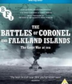 福克兰群岛与科罗内尔战役 The Battles of Coronel and Falkland Islands            (1927)