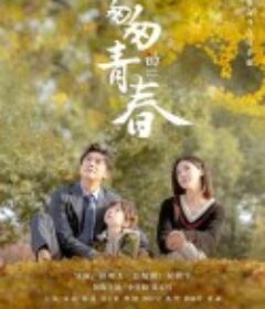 匆匆的青春            (2022)