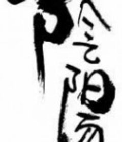 阴阳            (1997)