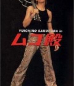 女婿大人 ムコ殿            (2001)