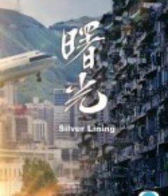 曙光            (2022)