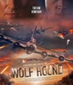 猎狼犬行动 Wolf Hound            (2022)