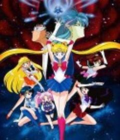 美少女战士R剧场版：花朵的约定 劇場版 美少女戦士セーラームーンR            (1993)