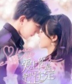 爱上你是命中注定            (2022)