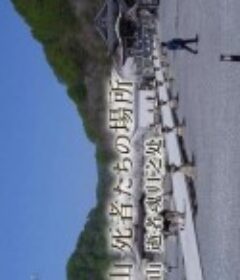 纪实72小时 恐山 逝者魂归之处 ドキュメント72時間 恐山 死者たちの場所            (2014)