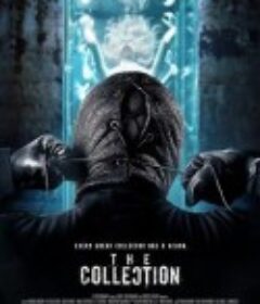 藏品 The Collection            (2012)