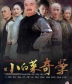 小白菜奇案            (2012)