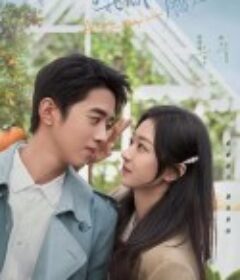 你好呀，我的橘子恋人 (2022)