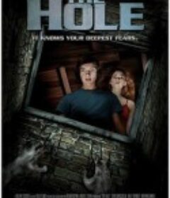 神秘洞穴 The Hole            (2009)