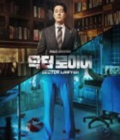 医法刑事 닥터로이어            (2022)
