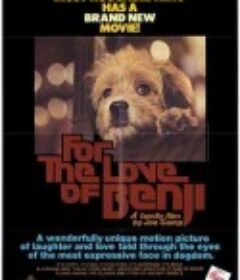 狗侦探 For the Love of Benji            (1977)