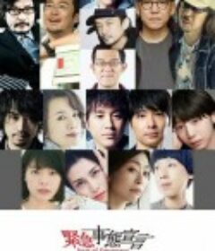 紧急事态宣言 緊急事態宣言            (2020)