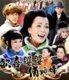 欢喜婆婆俏媳妇            (2010)