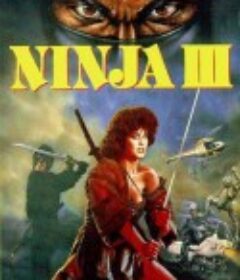 无懈可击 Ninja III: The Domination            (1984)