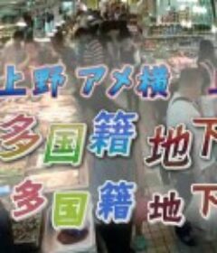 纪实72小时：多国籍地下市场 ドキュメント72時間 上野アメ横・多国籍地下マーケット            (2014)