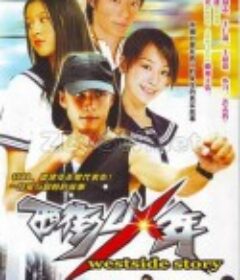 西街少年            (2003)