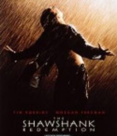肖申克的救赎 The Shawshank Redemption            (1994)