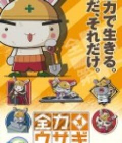 全力兔子 全力ウサギ            (2008)