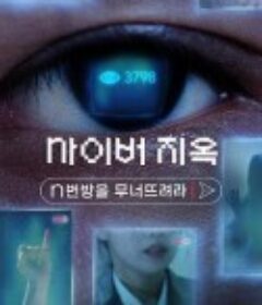 网络炼狱：揭发N号房 사이버 지옥: n번방을 무너뜨려라            (2022)