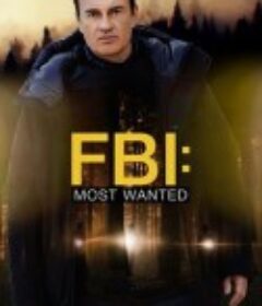 联邦调查局：通缉要犯 第三季 FBI: Most Wanted Season 3            (2021)