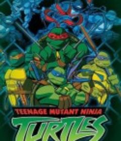 忍者神龟 第一季 Teenage Mutant Ninja Turtles Season 1            (2003)