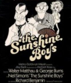 阳光小子 The Sunshine Boys            (1975)