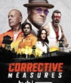 纠正措施 Corrective Measures            (2022)