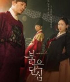 红丹心 붉은 단심            (2022)