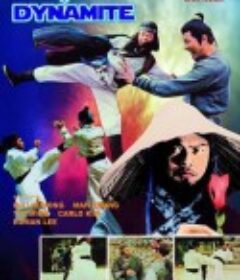 龙拳小子 龍拳小子            (1978)