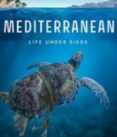 地中海 Mediterranean: Life Under Siege            (2022)