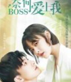 奈何BOSS爱上我           (2022)