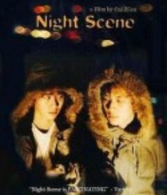 夜景            (2005)