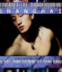目的地，上海 Welcome to Destination Shanghai            (2003)