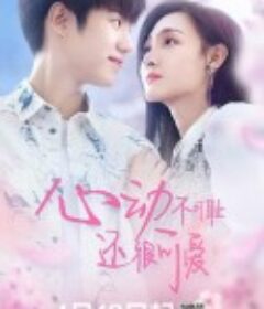 心动不可耻 还很可爱            (2022)