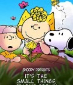 查理·布朗，要注意小事 It's the Small Things,Charlie Brown            (2022)