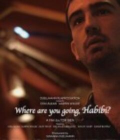 你想去哪儿，亲爱的？ Wo willst du hin, Habibi?            (2015)