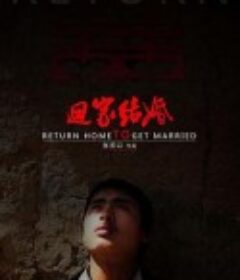 回家结婚            (2012)