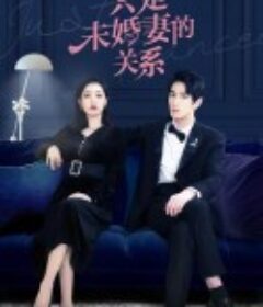 只是未婚妻的关系            (2022)