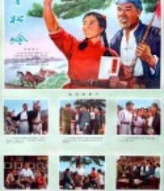 青松岭            (1973)