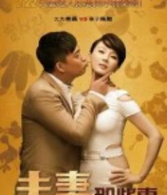 夫妻那些事            (2012)