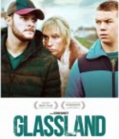 玻璃之地 Glassland            (2014)