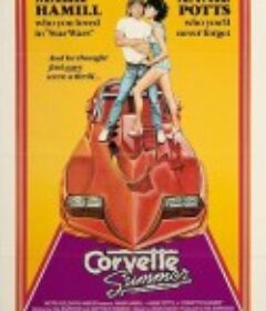 夏日烈车 Corvette Summer            (1978)