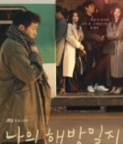 我的解放日志 나의 해방일지            (2022)