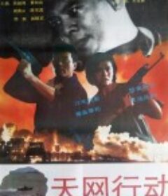 天网行动            (1994)