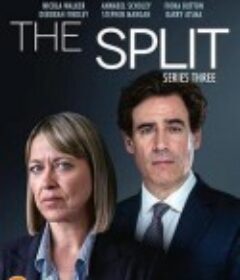 家裂 第三季 The Split Season 3            (2022)