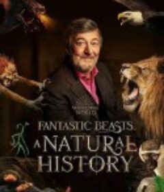 神奇动物：一段自然历史 Fantastic Beasts: A Natural History            (2022)
