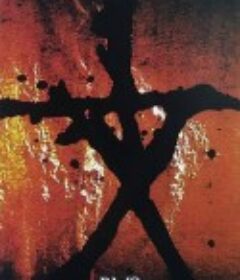 女巫布莱尔2：影子之书 Book of Shadows: Blair Witch 2            (2000)